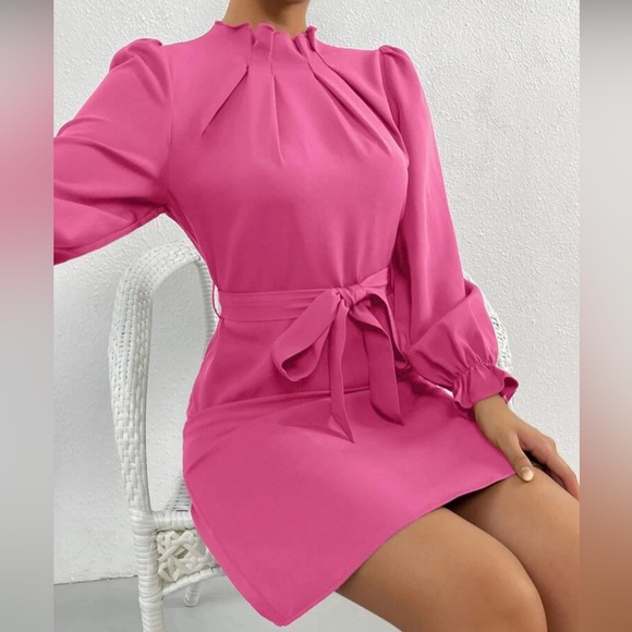 NWOTW FLOUNCE Sleeve Mock Neck Belted Dress Size 4 small - Picture 4 of 5